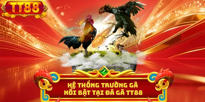 Hệ thống trường gà nổi bật tại đá gà TT88
