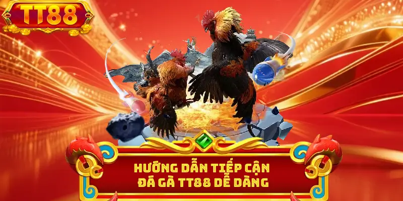 Hướng dẫn tiếp cận đá gà TT88 dễ dàng